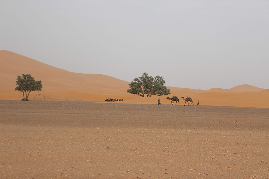 Gnaoua Khamlia, Мароканска Сахара