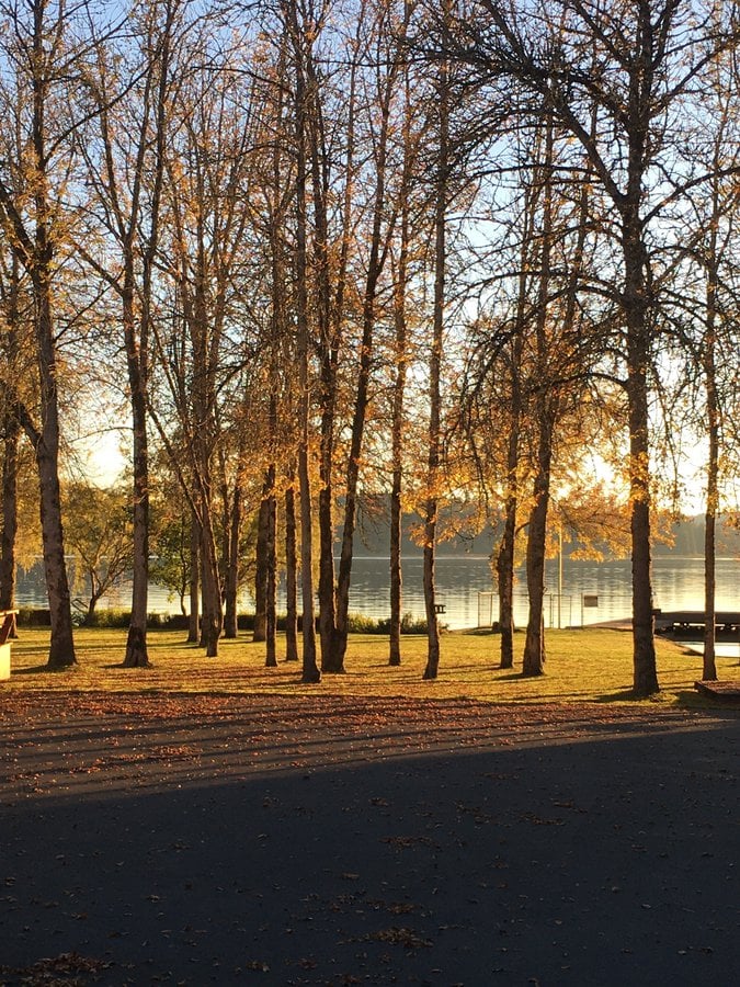 Есен в Silver Lake